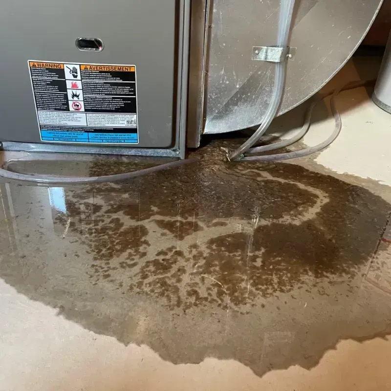 Appliance Leak Cleanup in Craig County, OK